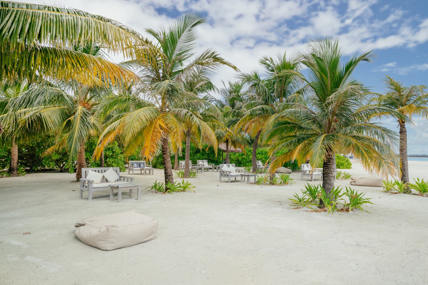 Palmenstrand des Hotels