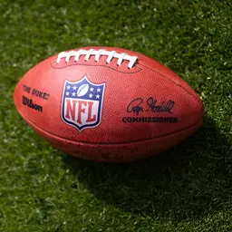 nfl-duke-logo-KP_2575_26_DER_KV_NFL_eCom_Webseite_2400x1200.jpg