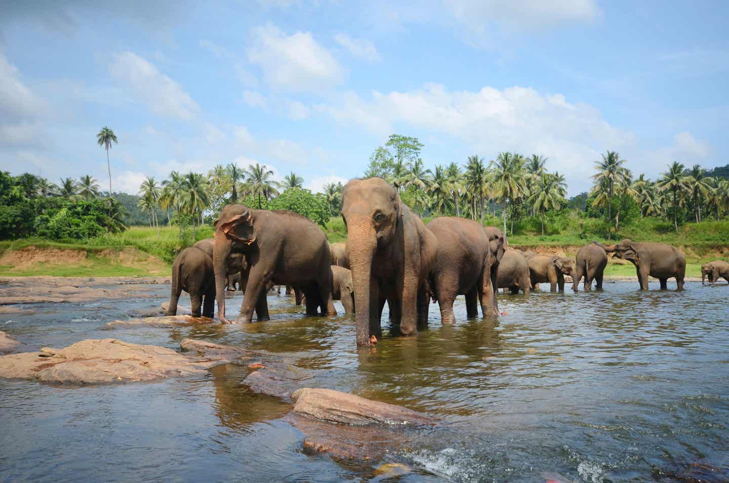 Hotels auf Sri Lanka