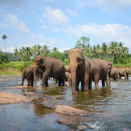 Hotels auf Sri Lanka