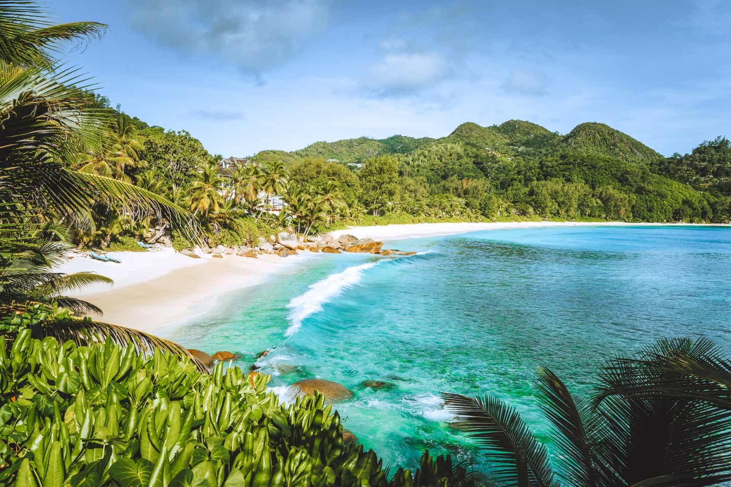 Blick auf eine Bucht auf der Insel Mahé auf den Seychellen. Grüne Palmen umranden den feinen Sandstrand mit türkisblauem Wasser