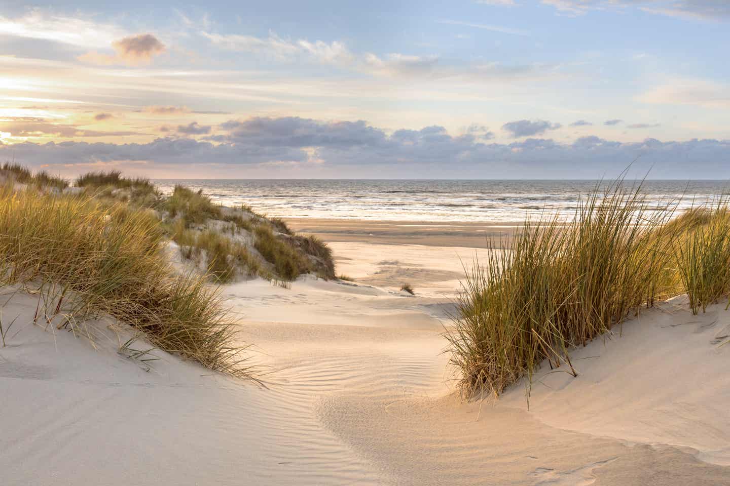 Ein malerischer Nordsee-Strand: Der Weg führt durch die Dünen zum Meer