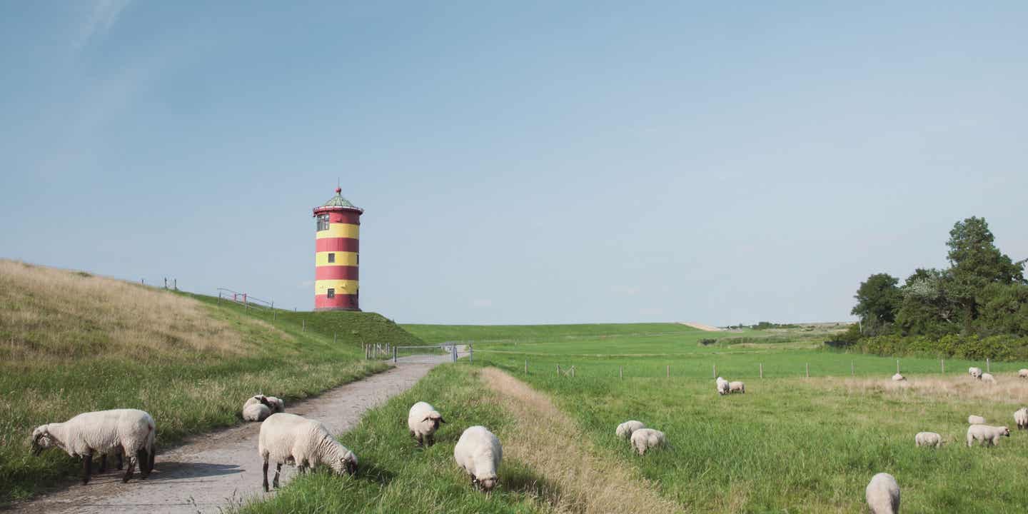 Klassiker im Nordsee-Urlaub: Leuchtturm und Schafe auf dem Deich