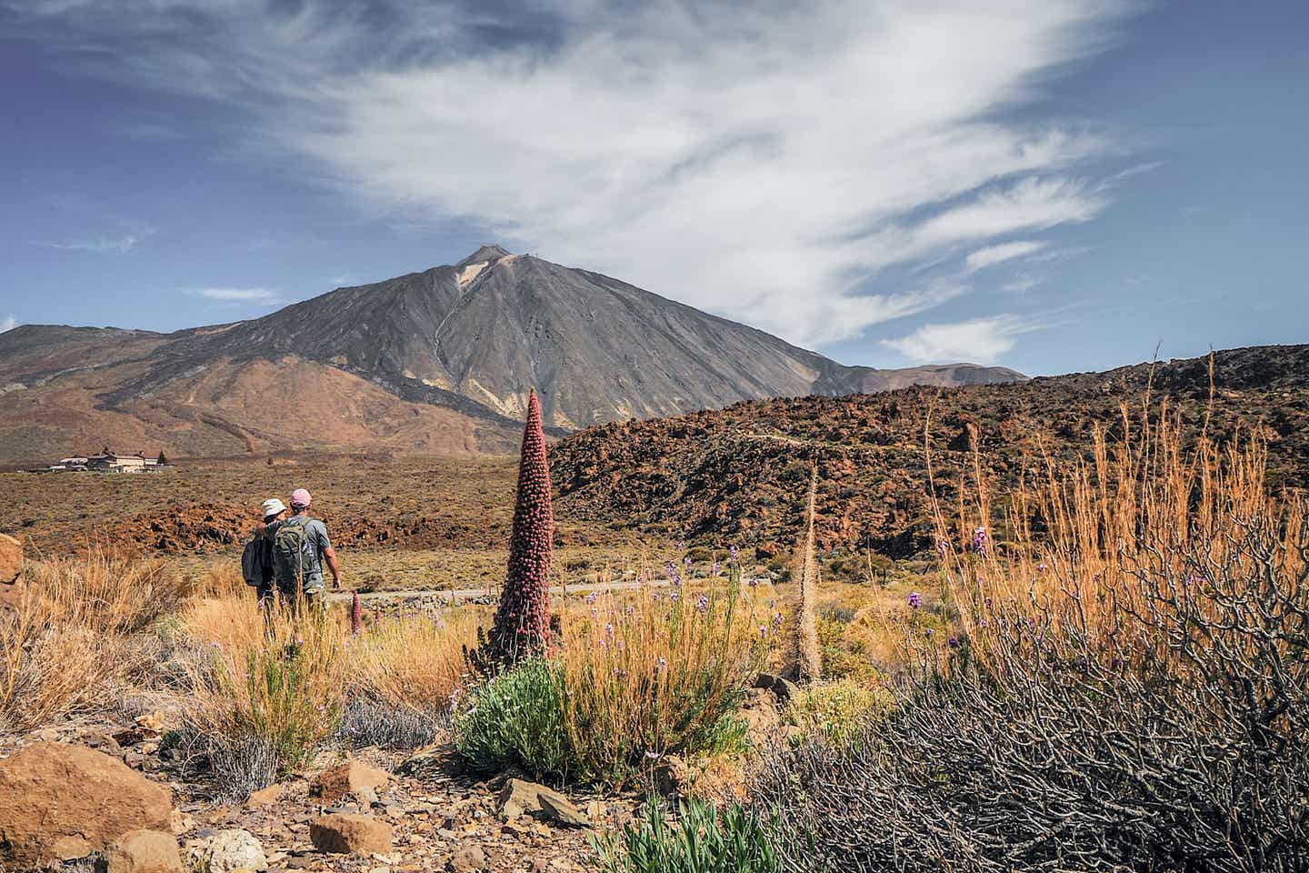 Wander-Urlaub im Teneriffa Nationalpark: Zu zweit die Landschaft erkunden