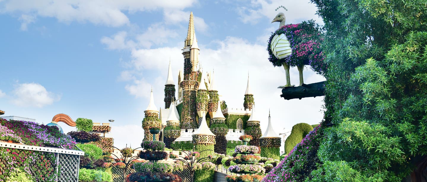 Dubai Miracle Garden – der größte Blumengarten der Welt