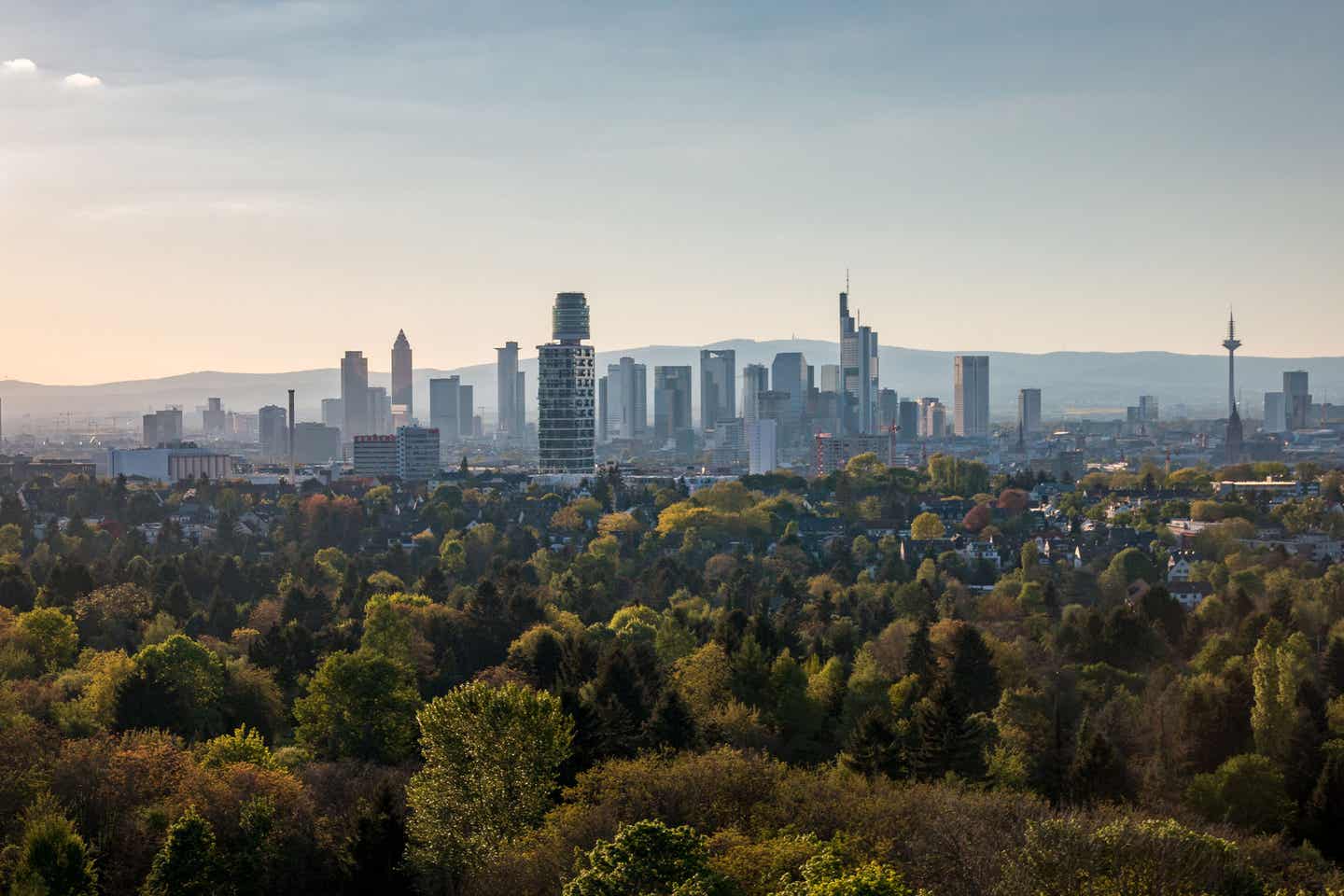 Panoramablick auf die Frankfurter Skyline