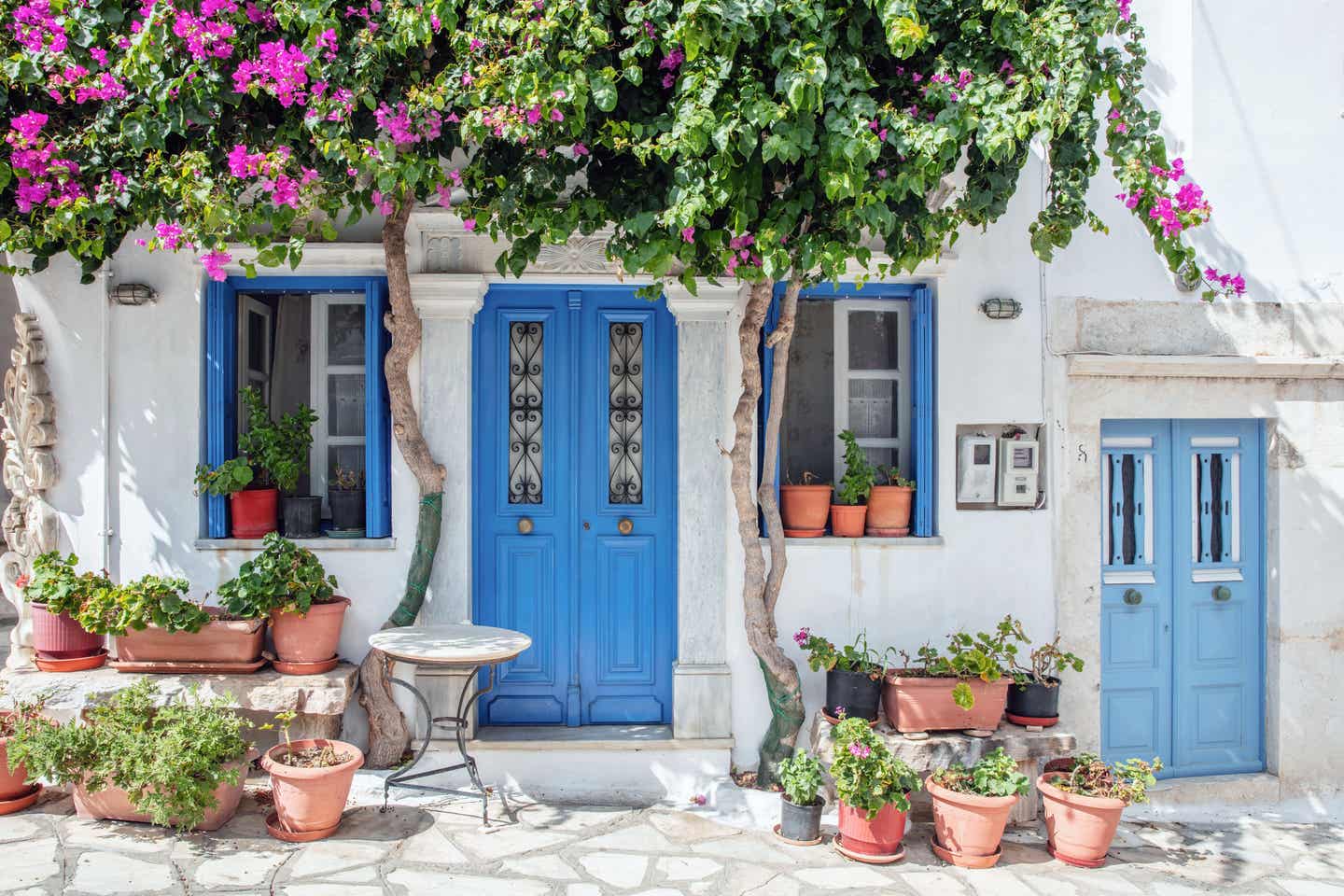 Blaue Tür eines weißen Hauses in Griechenland, bunte Blumen