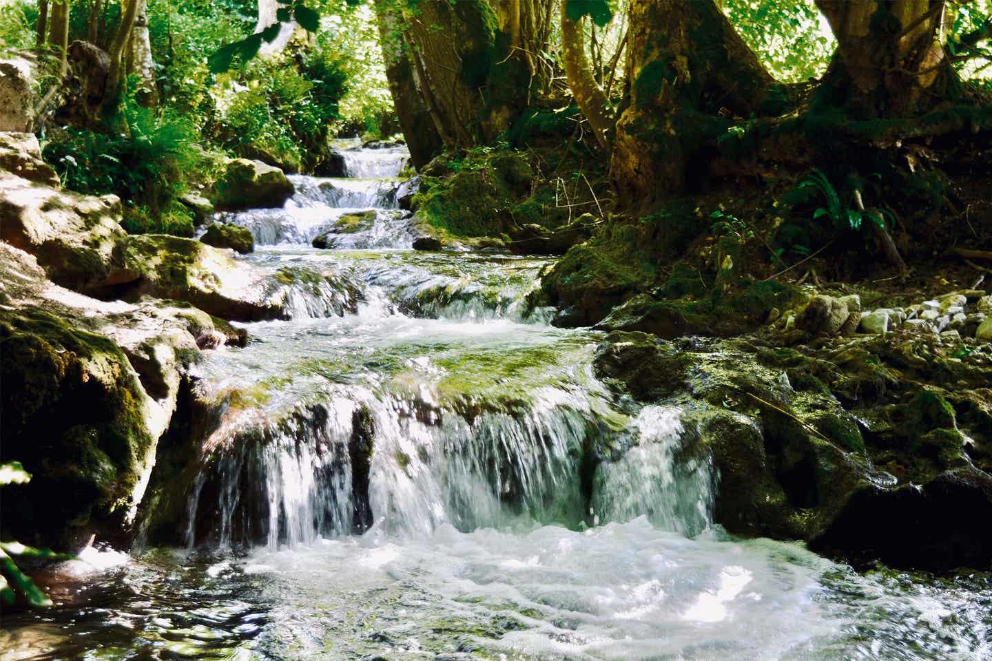 Deutschland Schwäbische Alm: Wasserfall im Wald