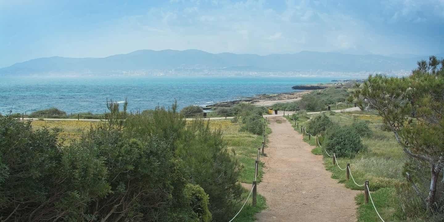 Kitesurfer an der Playa de Palma, Mallorca