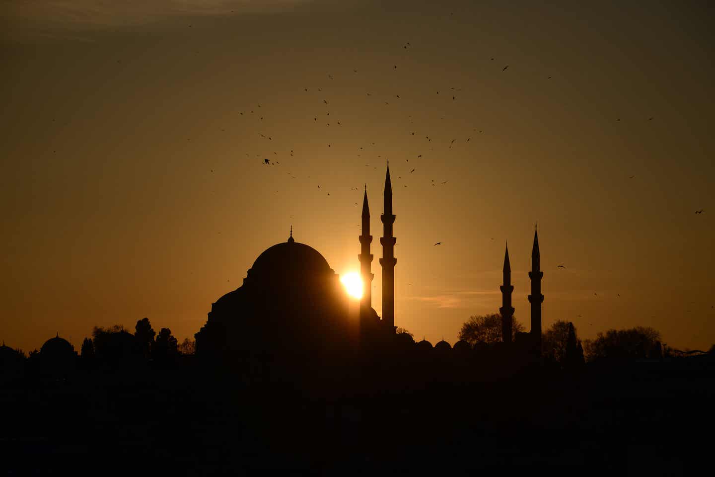 Eine Sehenswürdigkeit: Sueleymaniye-Moschee bei Sonnenuntergang in Istanbul