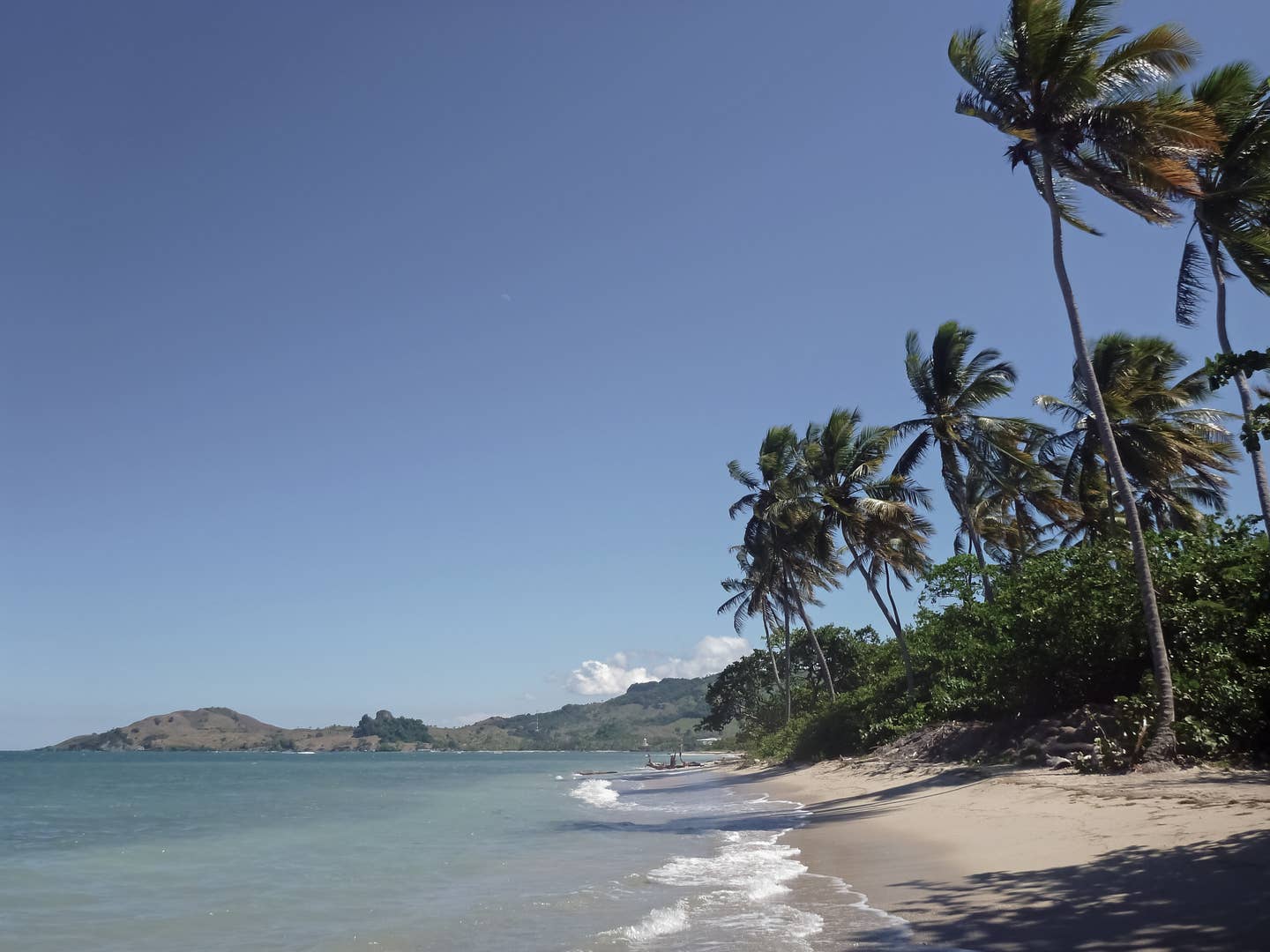 Puerto Plata Urlaub mit DERTOUR. Von Palmen umgebener Strand von Puerto Plata