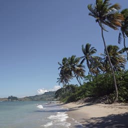 karibik-dominikanische-republik-puerto-plata-strand-palmen-g-482596655.jpg