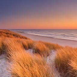 niederlande-texel-g-472079998.jpg