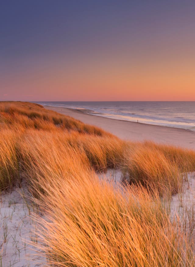 Wellnessurlaub Nordsee Wellnessurlaub an der Nordsee – nordische Ruhe am Strand