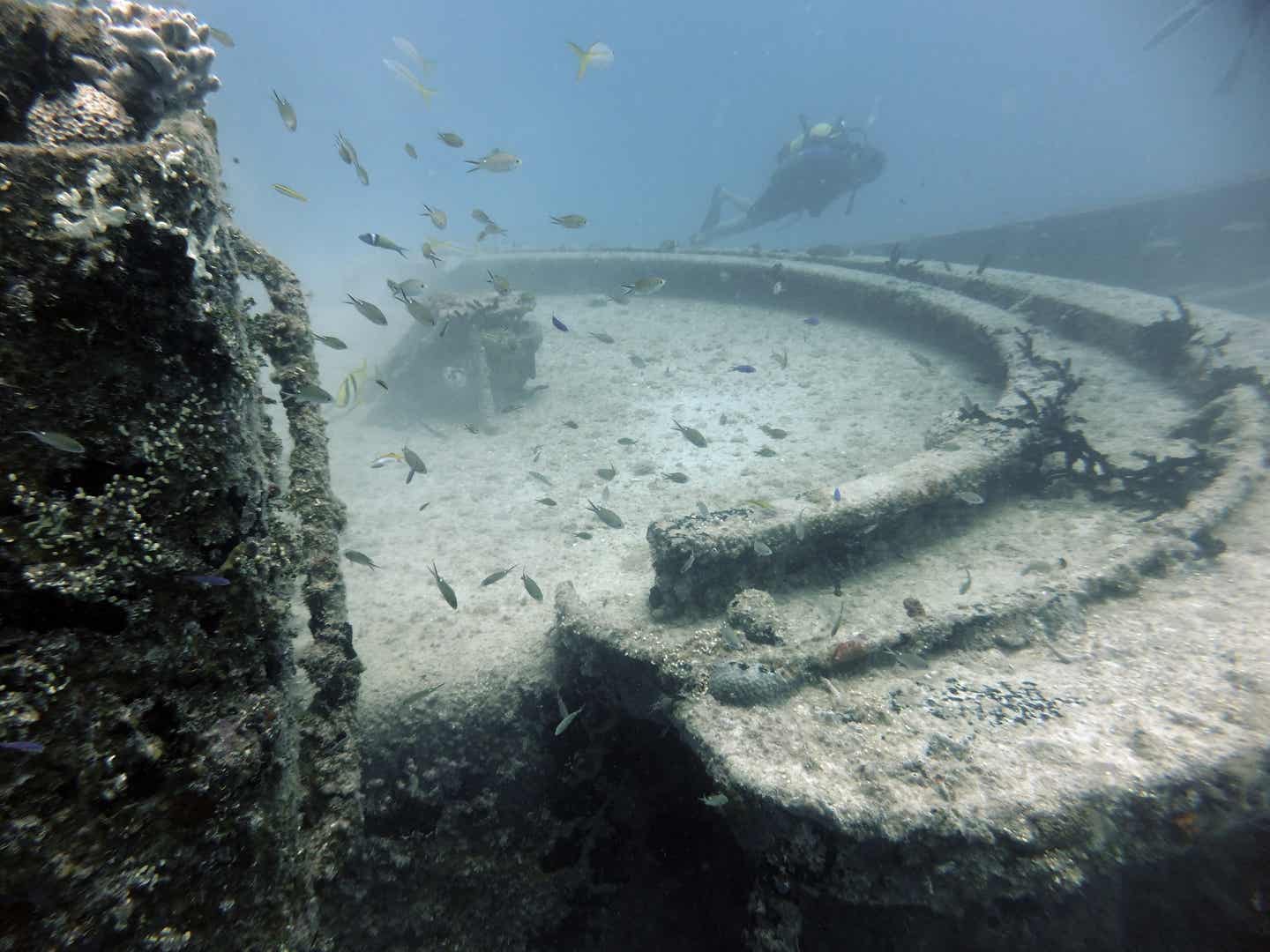 Varadero Urlaub mit DERTOUR. Ein Taucher an einem der Schiffswracks vor der Küste Varaderos