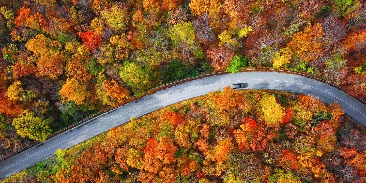 Luftaufnahme einer Landstraße im Harz durch bunt gefärbte Wälder im Herbst in Deutschland