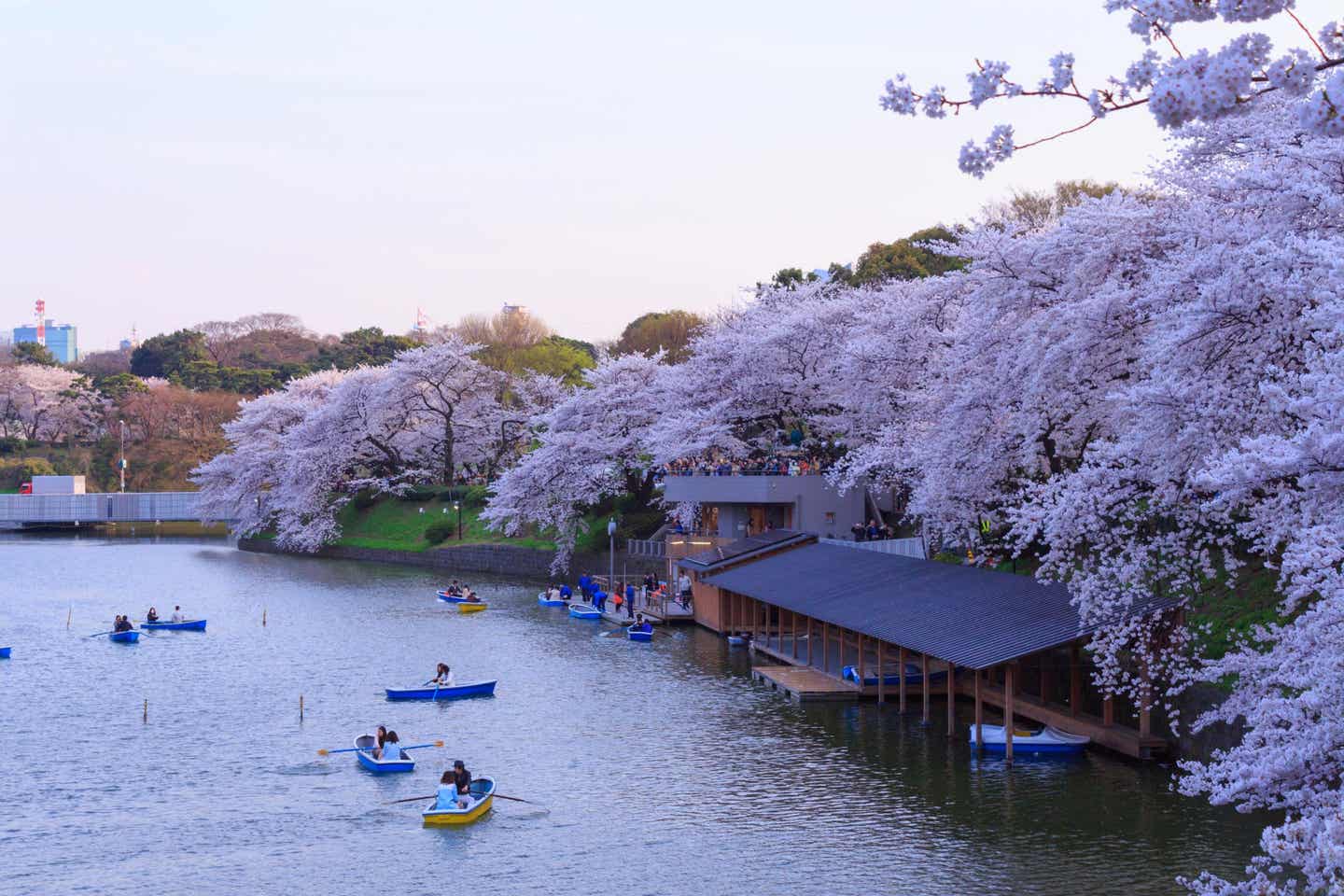 Park in Tokio