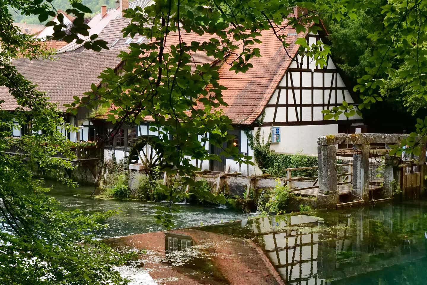 Schwaebische Alm Haus mit Wasserrad am See