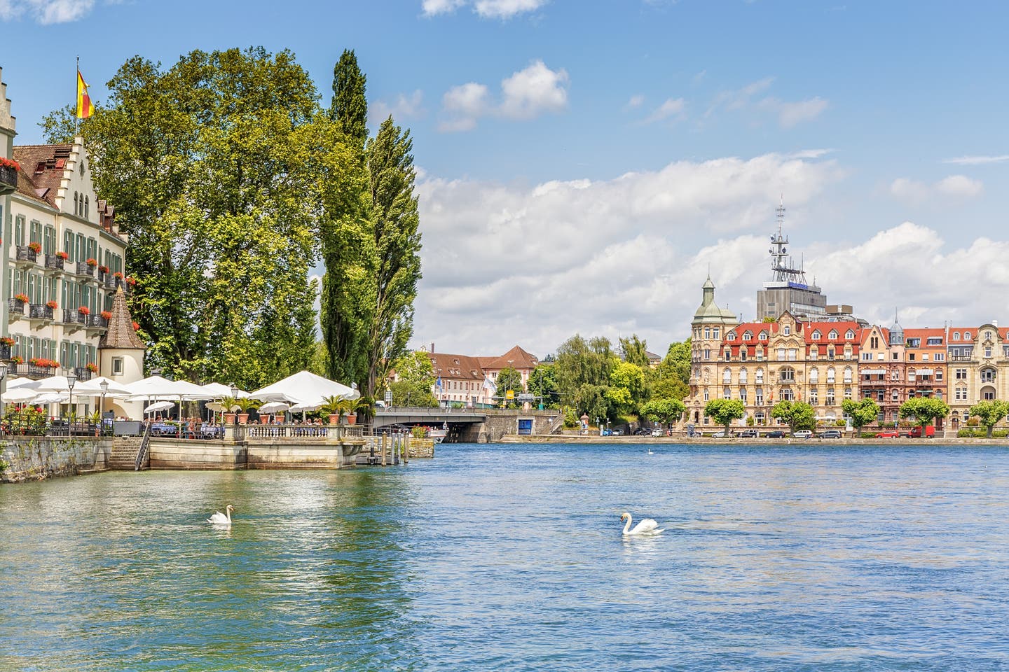 Sehenswürdigkeiten am Bodensee: Schwäne auf den Bodensee bei Konstanz