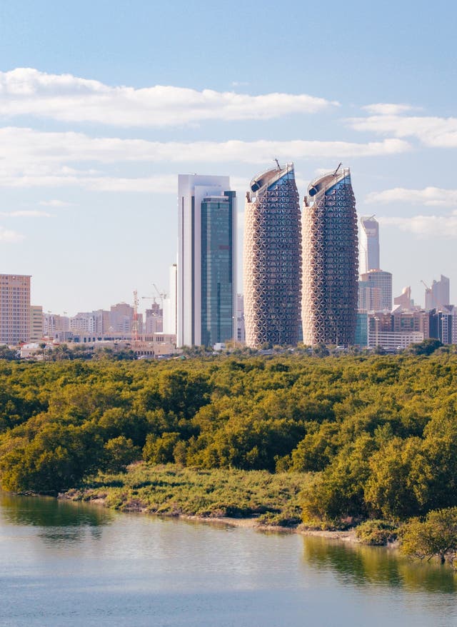 Mangroven Abu Dhabi