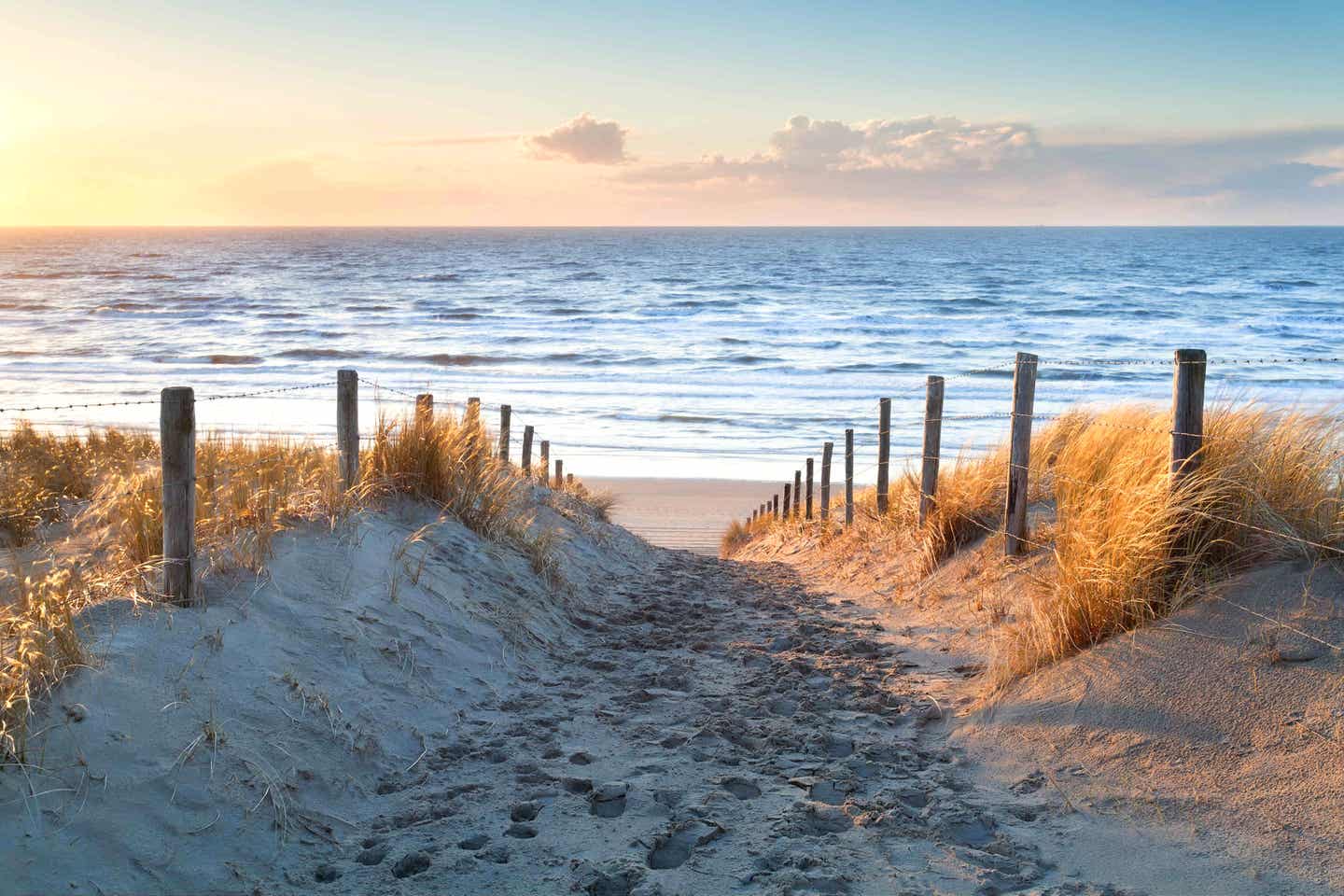 Die holländische Nordseeküste: Zandvoort