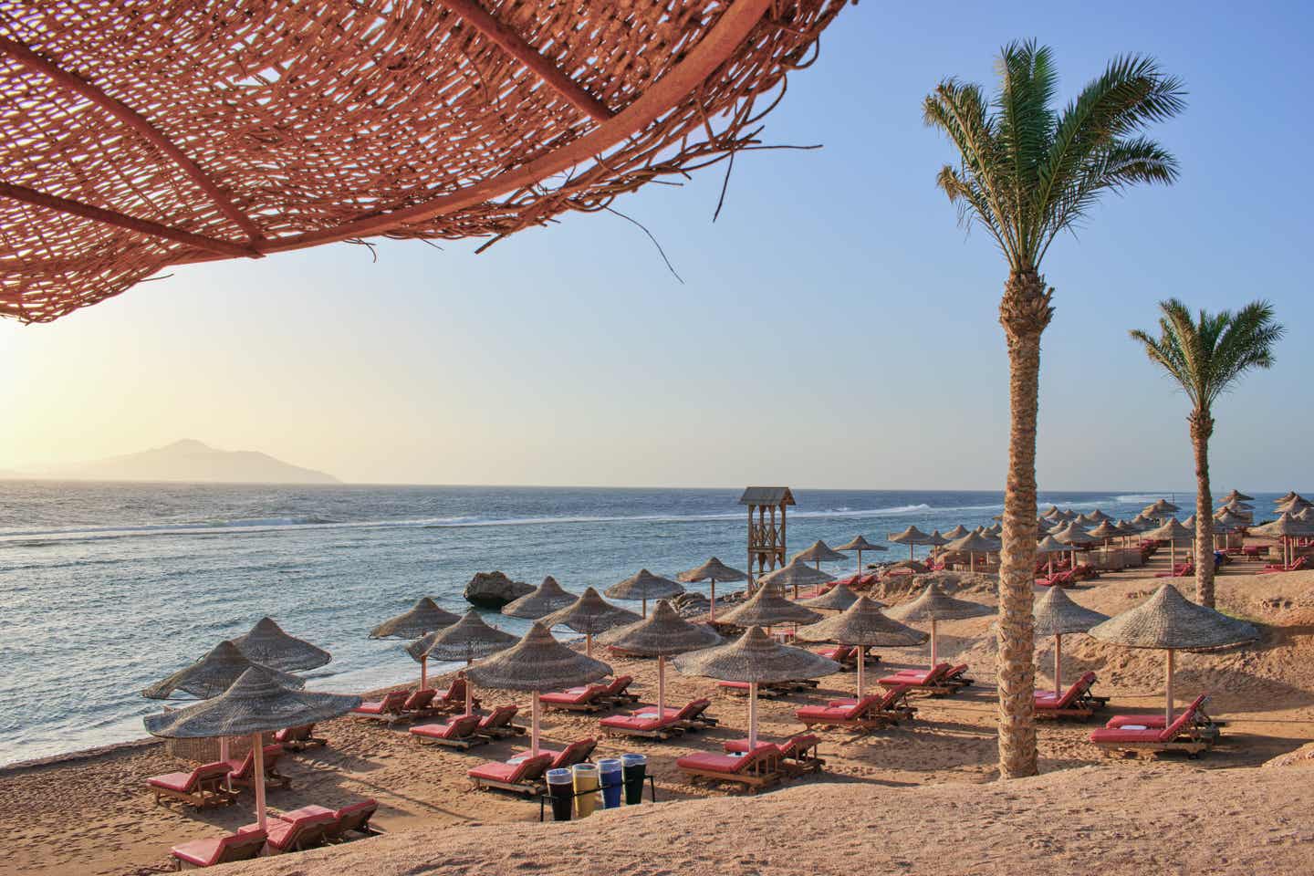 Reiseziele Ostern: Palmen am Strand in Ägypten am Rotem Meer