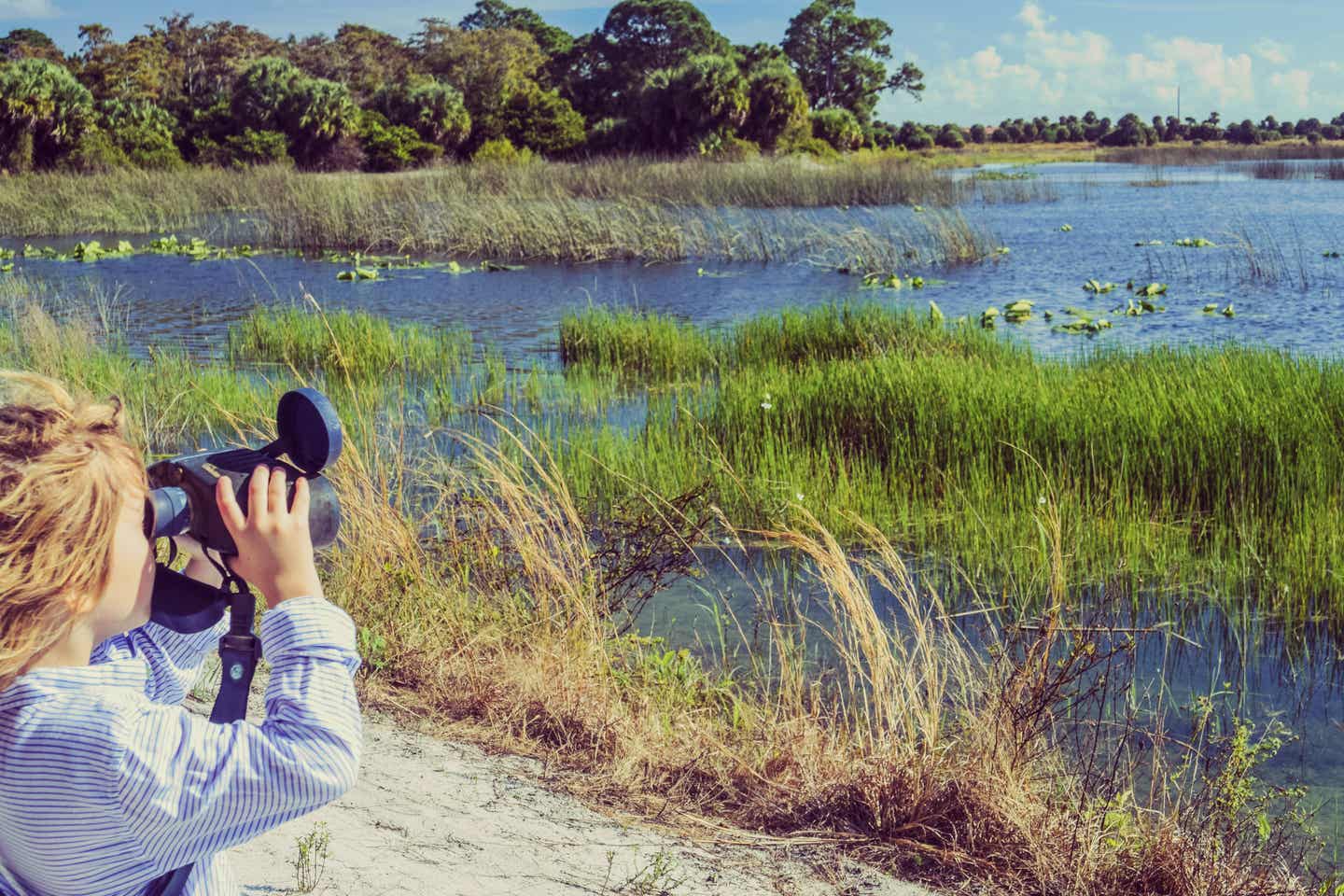 Ein Kind schaut mit dem Fernglas über die sumpfige Landschaft der Everglades