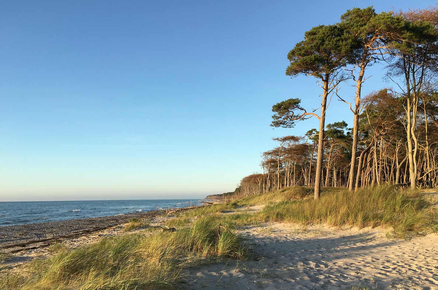 Paradiesisch: Die deutsche Ostseeküste