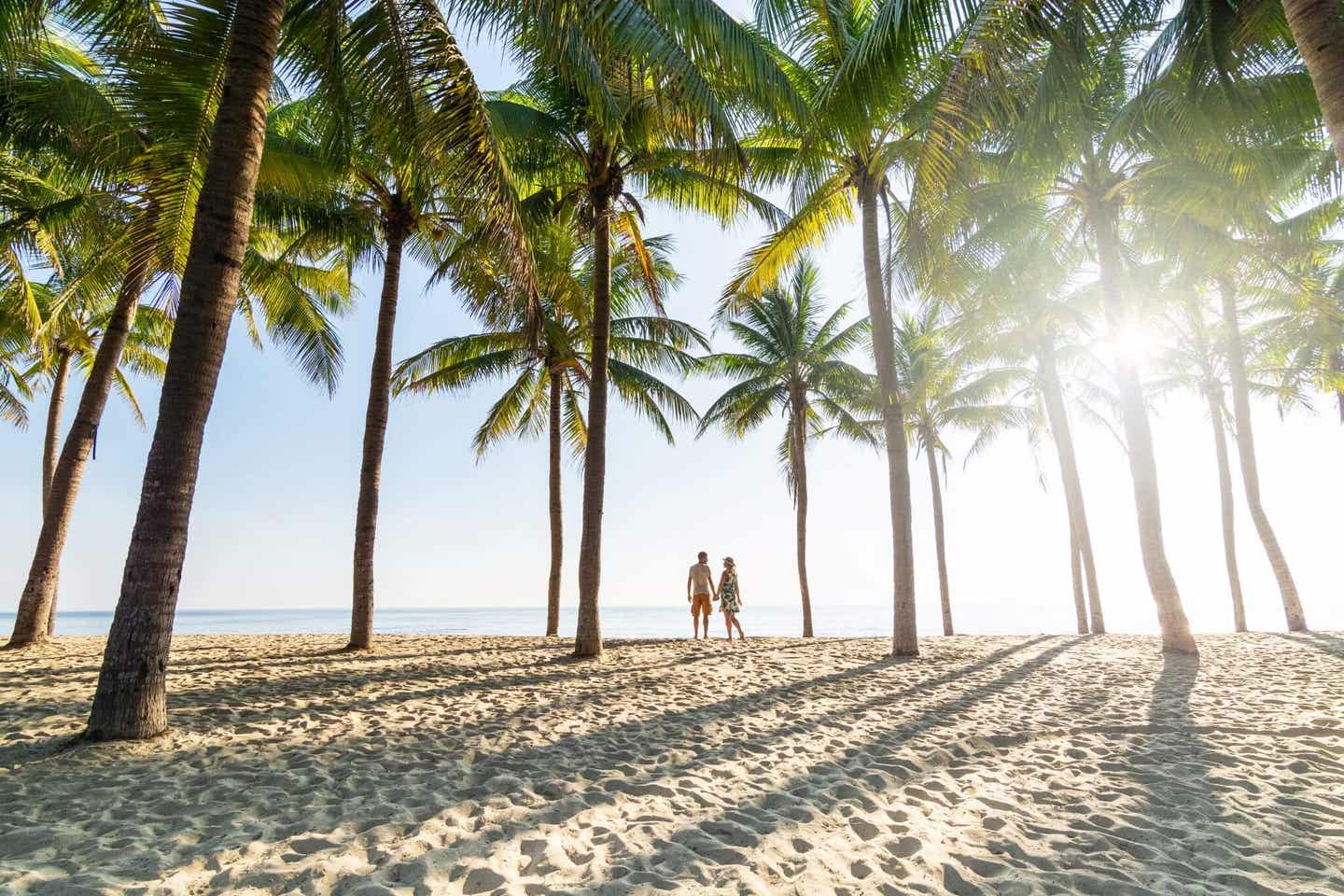 Mauritius und die Malediven sind Traumziele – nicht nur für Paare