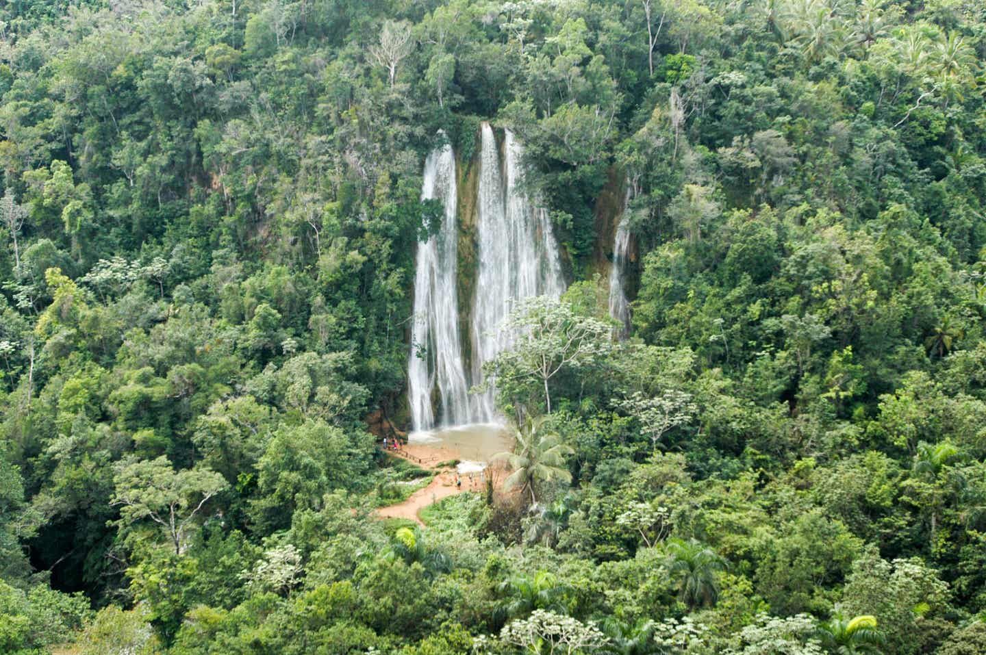 Samana Ausflüge: Wasserfall in grüner Natur