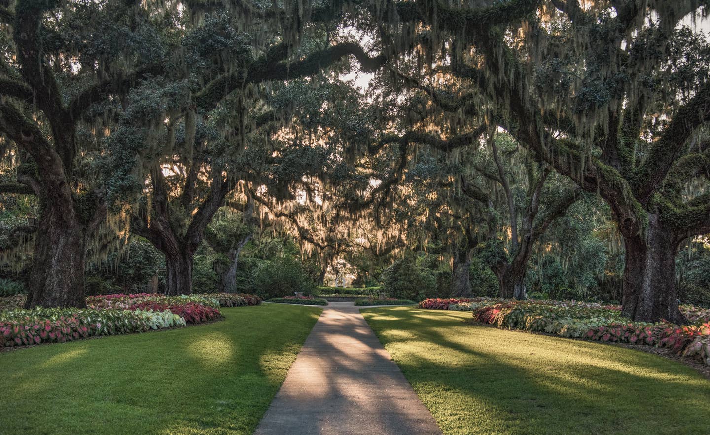 South Carolina Urlaub mit DERTOUR. Alte Virgina-Eichen in den Brookgreen Gardens in Myrtle Beach, South Carolina