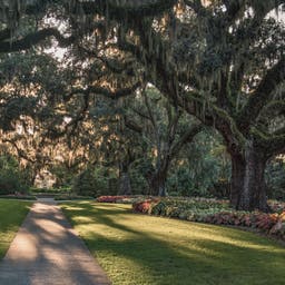 usa-south-carolina-myrtle-beach-brookgreen-gardens-g-1038417650.jpg