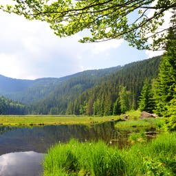 All-inclusive-Hotels im Bayerischen Wald