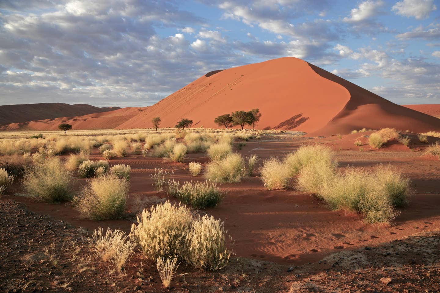 Namibia Urlaub – die Weite des Landes