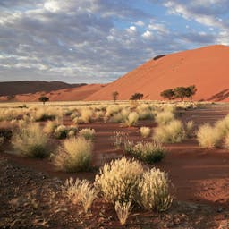 afrika-namibia-sossusvlei-g-148225451.jpg