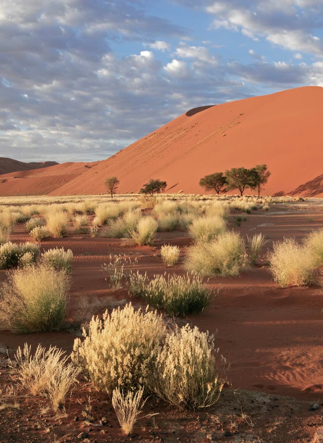 Namibia Urlaub Namibia Urlaub – die Weite des Landes