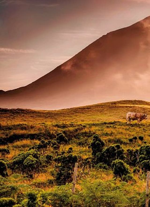 Zur Rundreise Inselspringen auf den Azoren