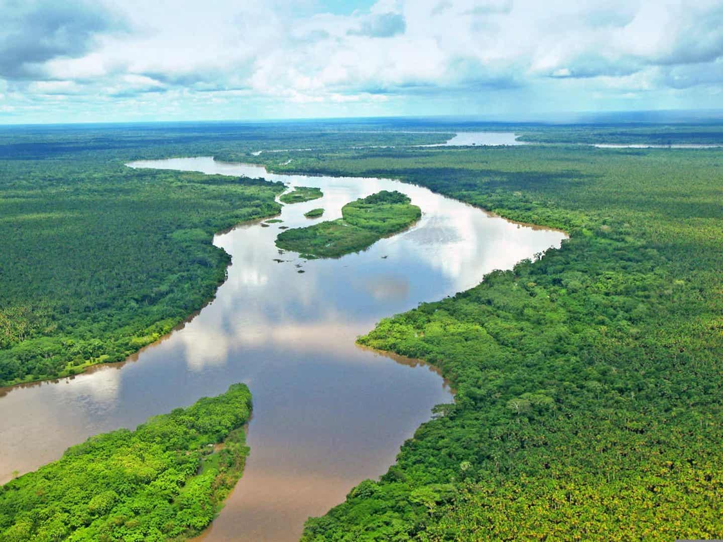 Mitarbeiter-Tipp Peru Rundreise. Luftbild des Amazonas-Flusses.