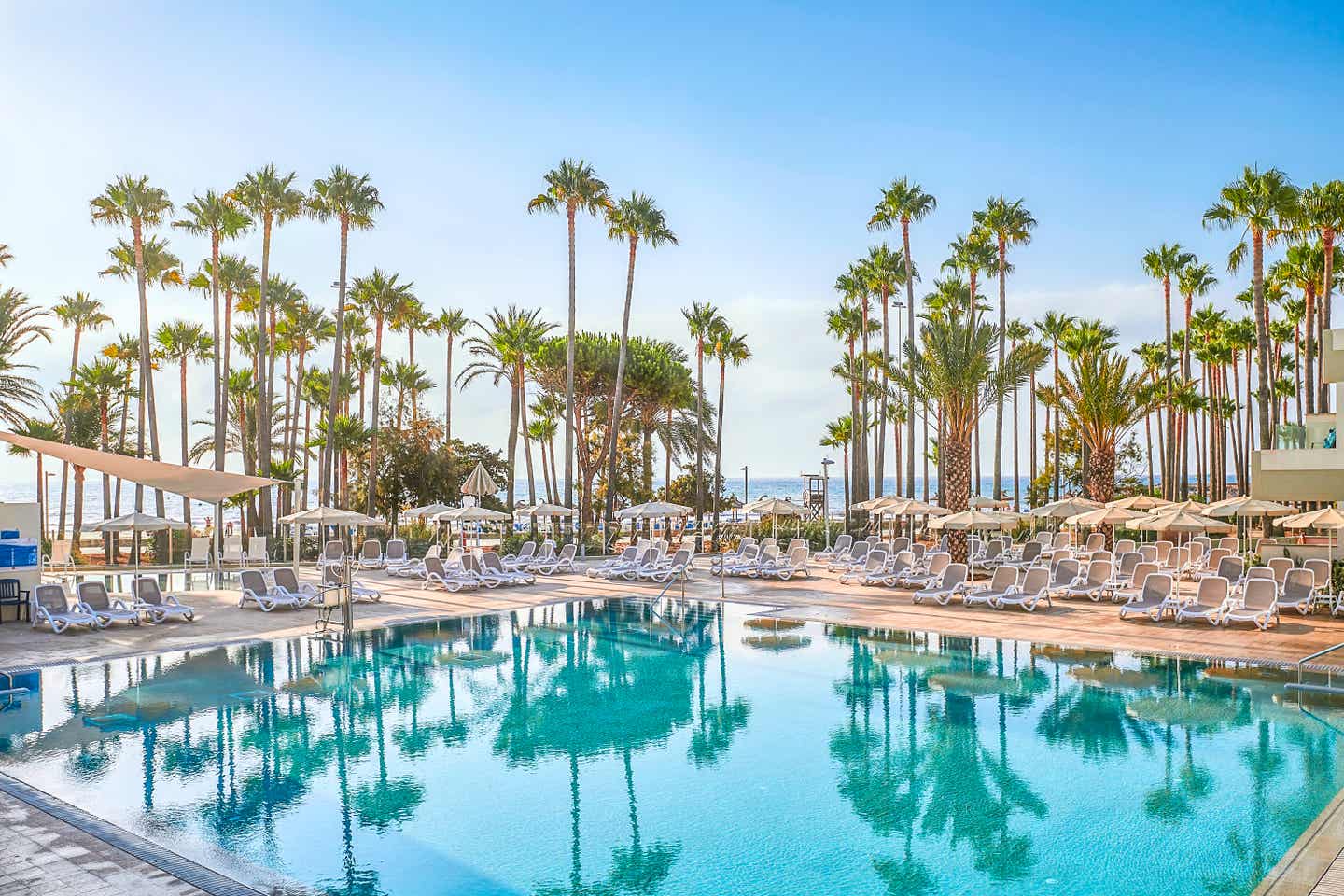 Beste Familienhotels Mallorca – Poolbereich im Hipotels Mediterraneo Club mit Sonnenliegen, Palmen und Blick aufs Meer