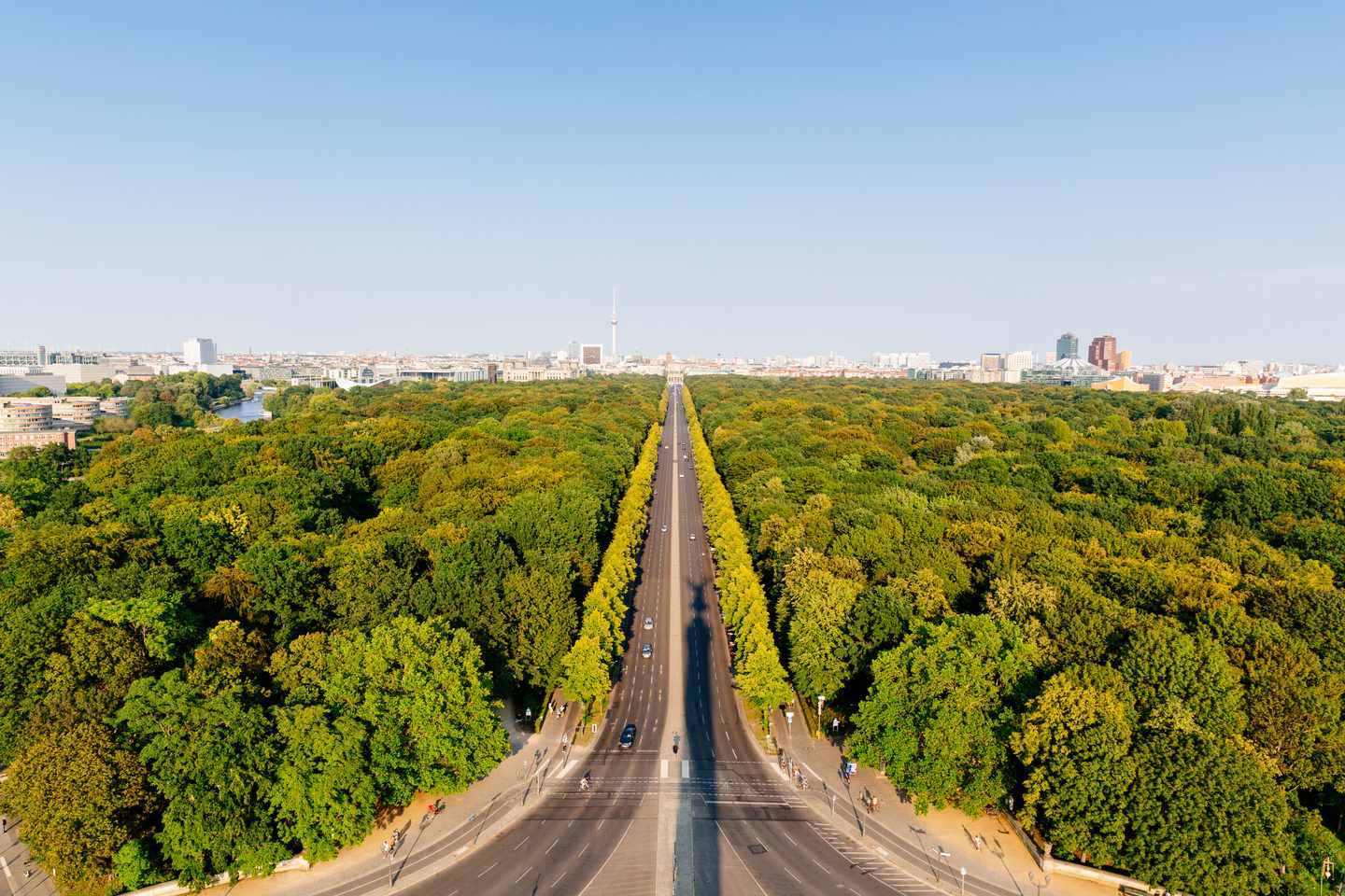 deutschland-berlin-tiergarten-berliner-skyline-baumallee-luftaufnahme-g-1186160837.jpg