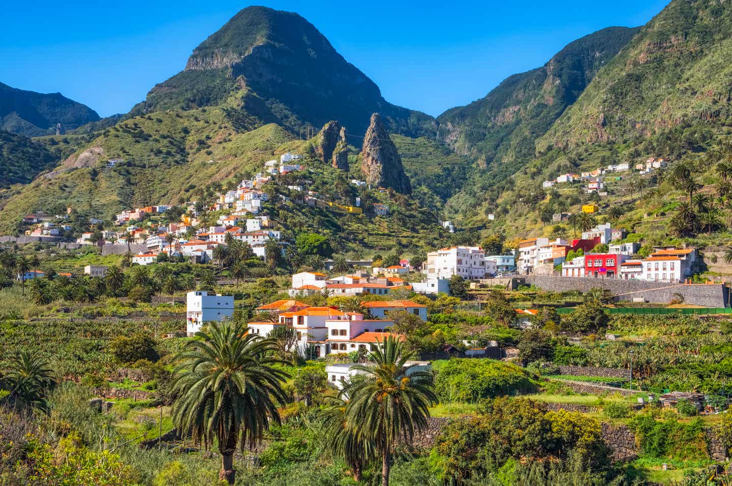 la Gomera 