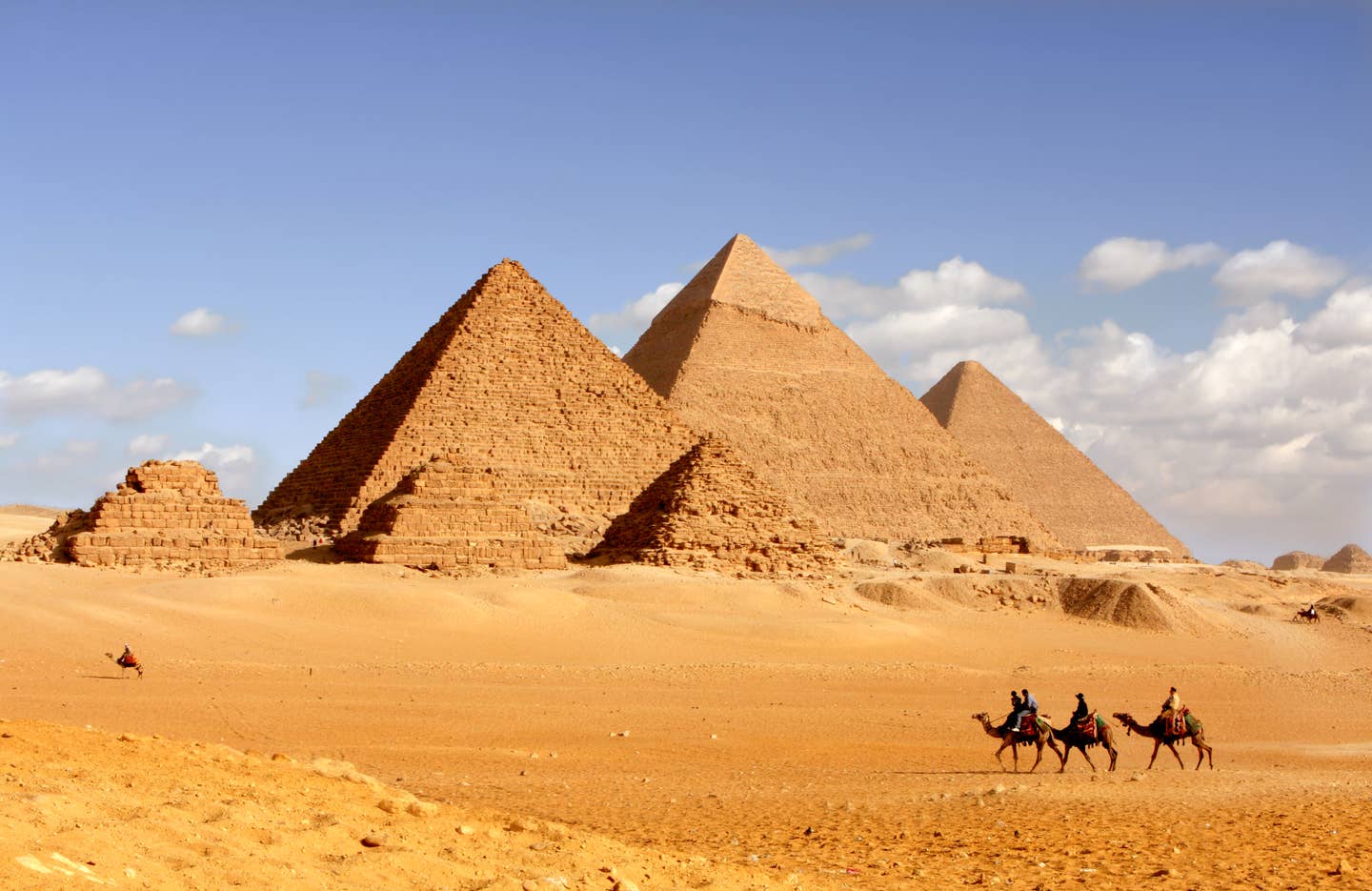 Rundreisen Ägypten: Kamele vor den Pyramiden von Gizeh