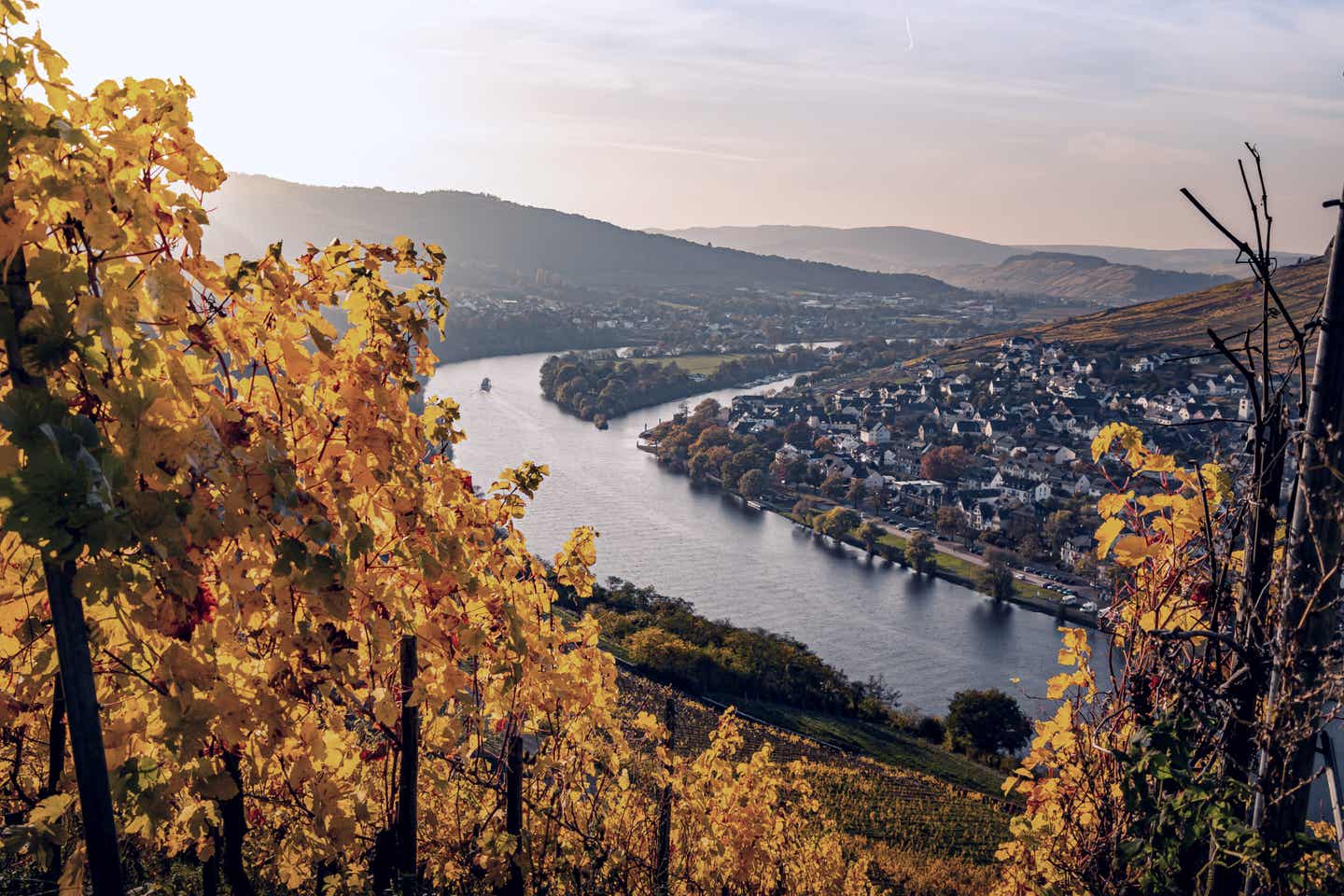 Blick auf die Mosel im Moseltal