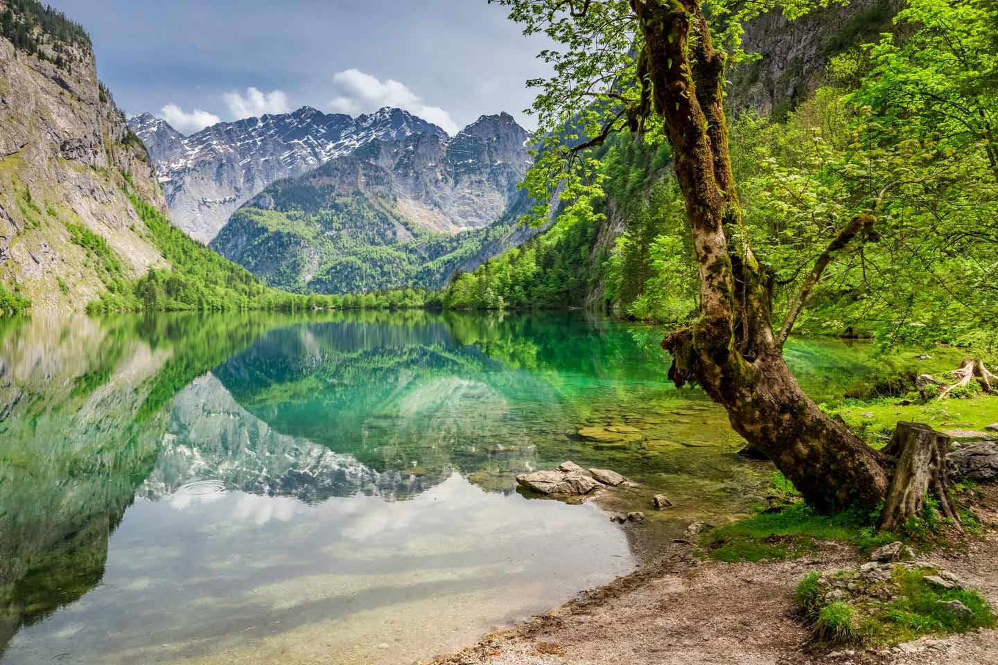 Noch ein Geheimtipp: der Fotospot Obersee im Allgäu