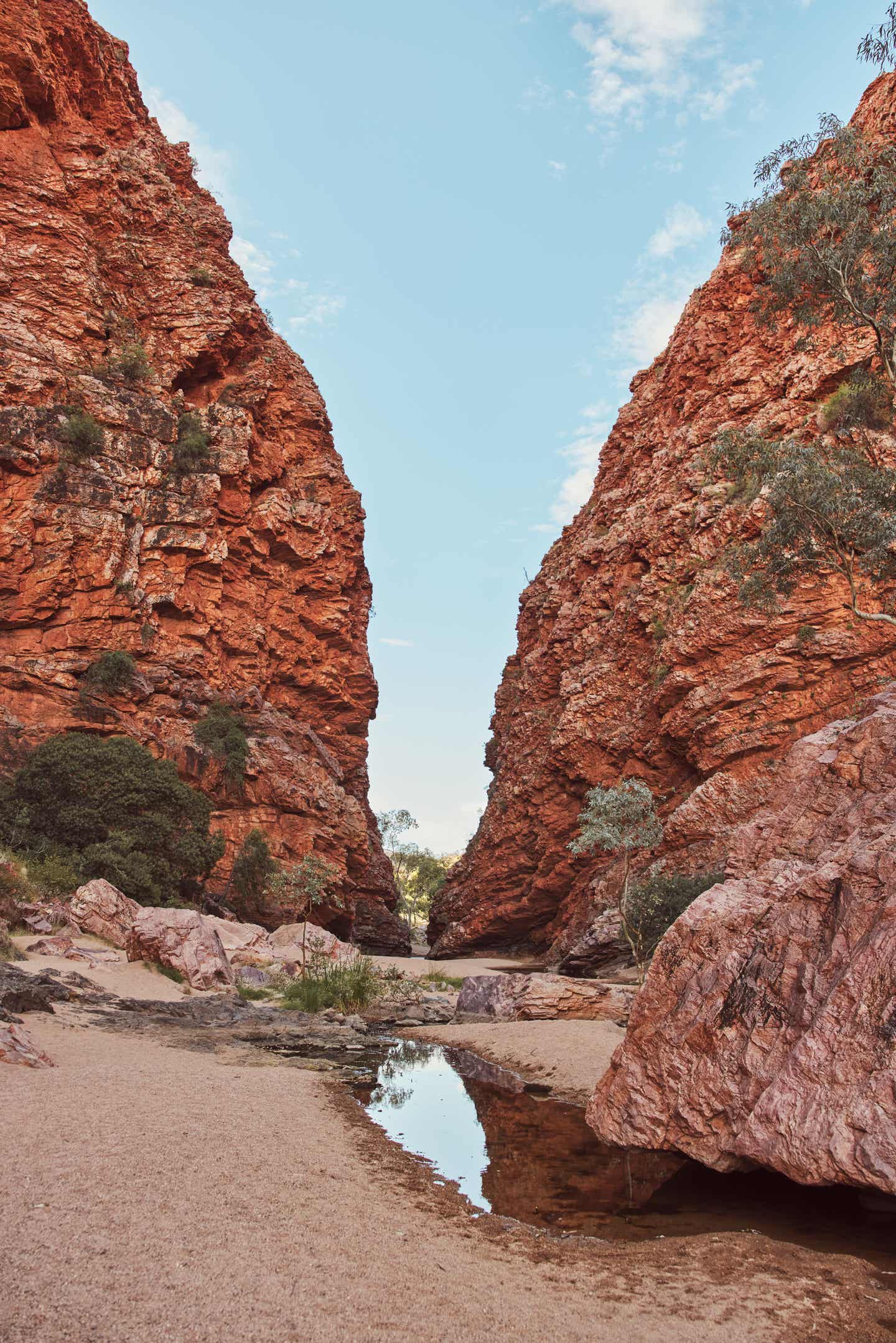 Northern-Territory-Sehenswürdigkeiten: Red Centre