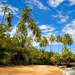 Hotel Karibikküste Costa Rica