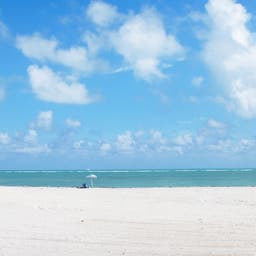 miami-key-biscayne-crandon-park-g-519269460.jpg