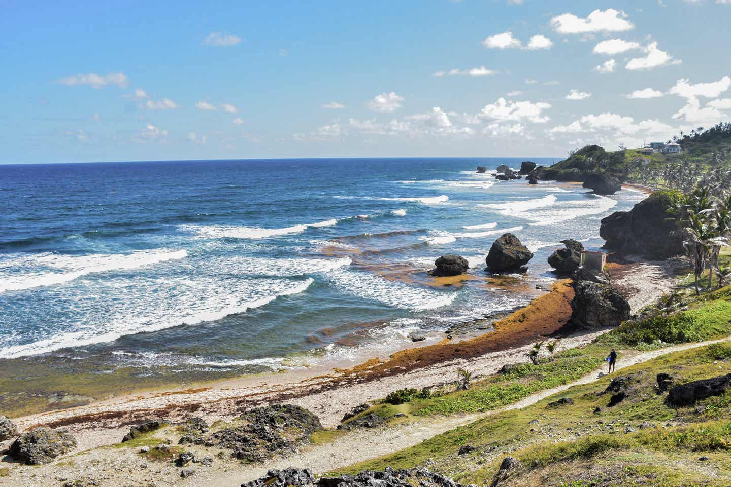 Barbados beste Reisezeit: Küste, Natur und Meer