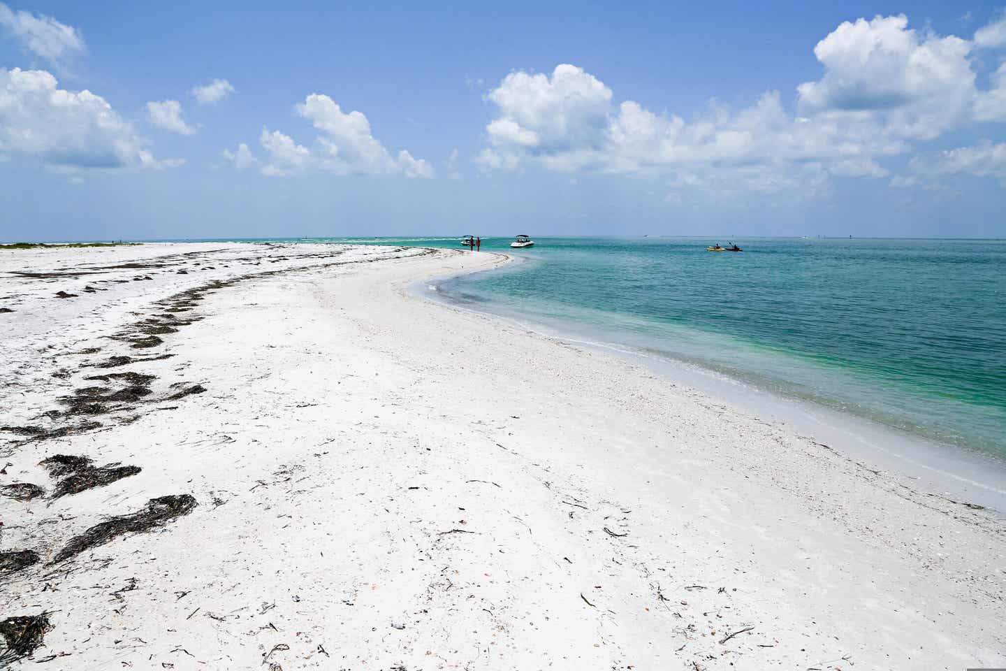 Der naturbelassene Caladesi Beach in Florida mit angeschwemmtem Gras 