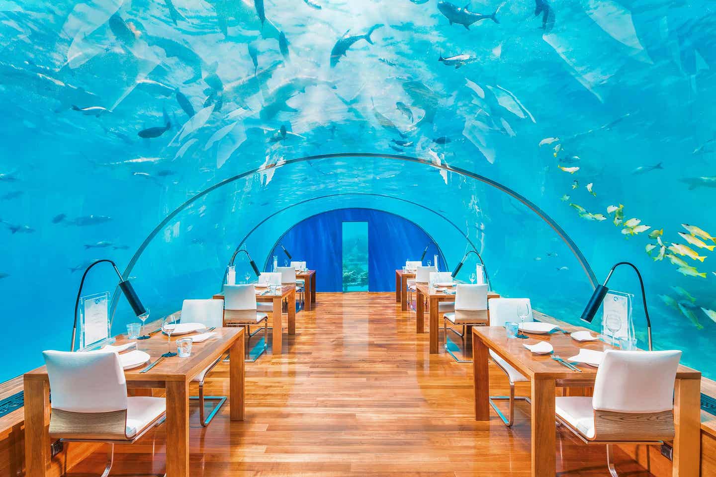 Unterwasserrestaurants Malediven: Innenansicht des Ithaa Undersea